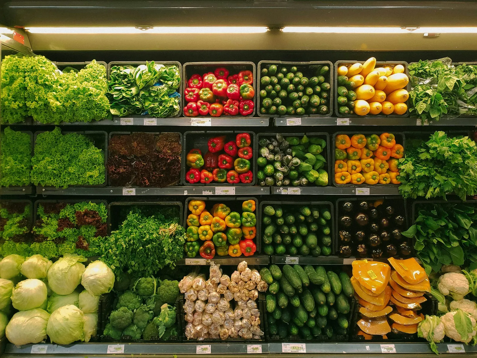 Temporary market concept for Foodways Collection and Shop